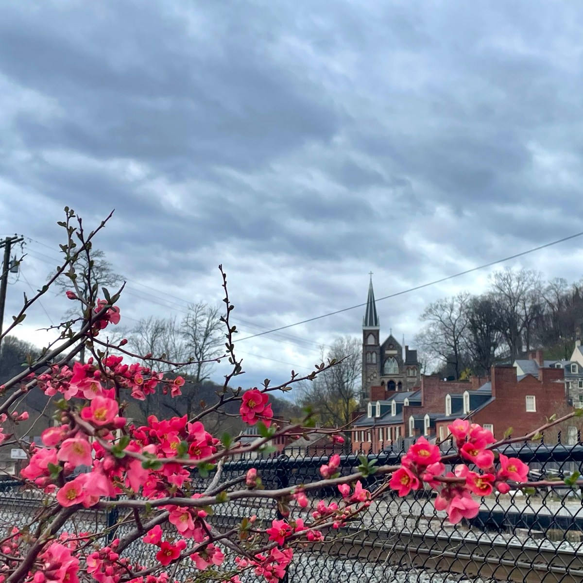 Spring Break along the C&O Canal – Cumberland, Harpers Ferry, and&nbsp;more!